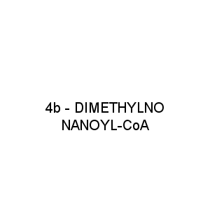 4b - DIMETHYLNONANOYL-CoA